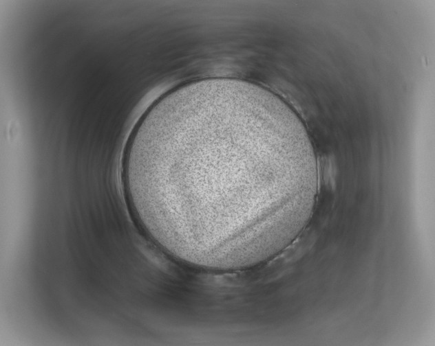 X0000111390147200907311121