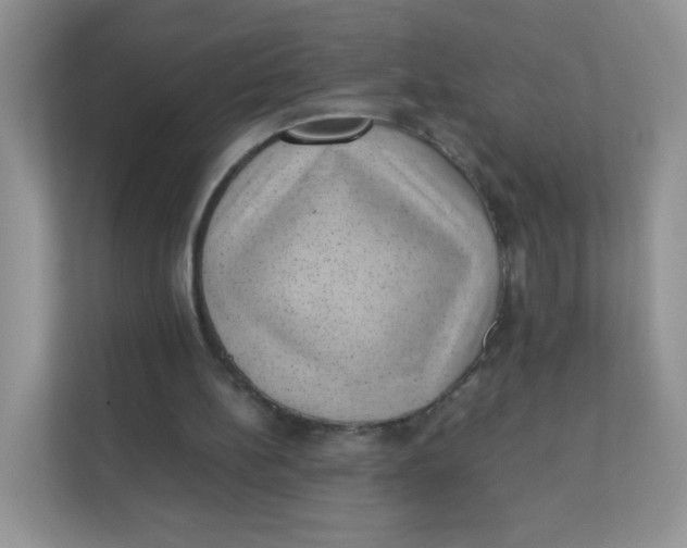 X0000111390148200907311121