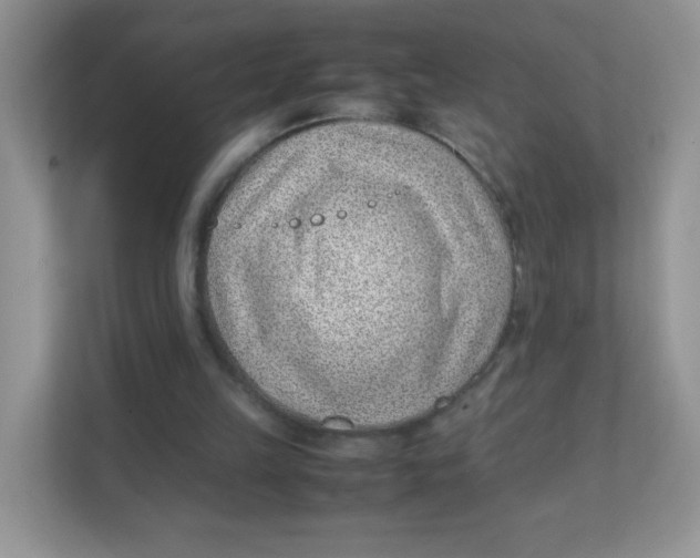 X0000111390149200907311121