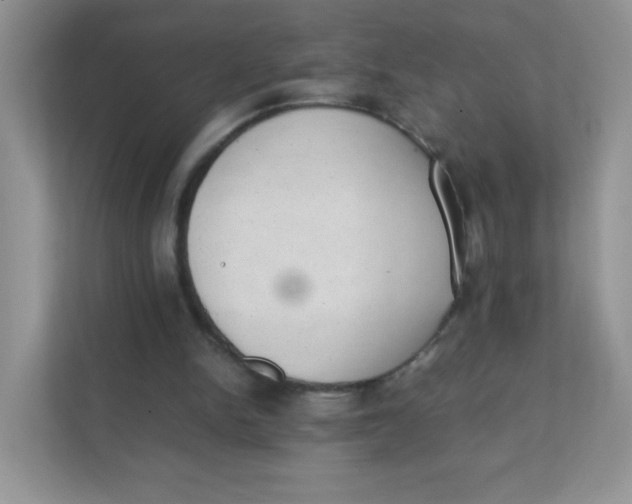 X0000111390150200907311121