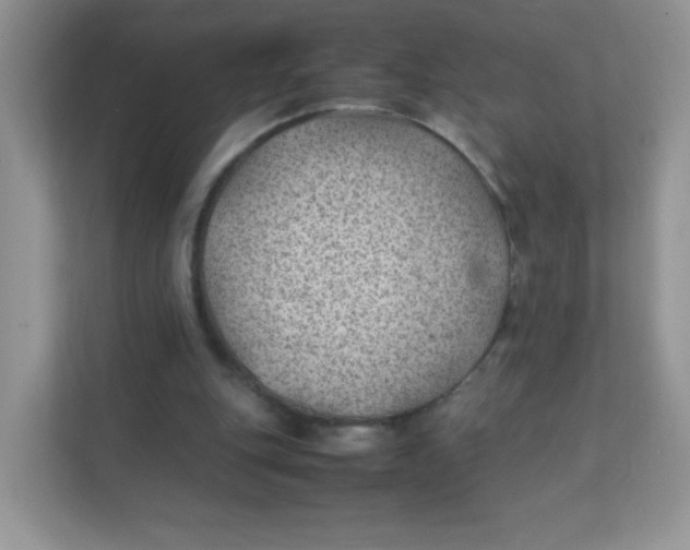 X0000111390151200907311121