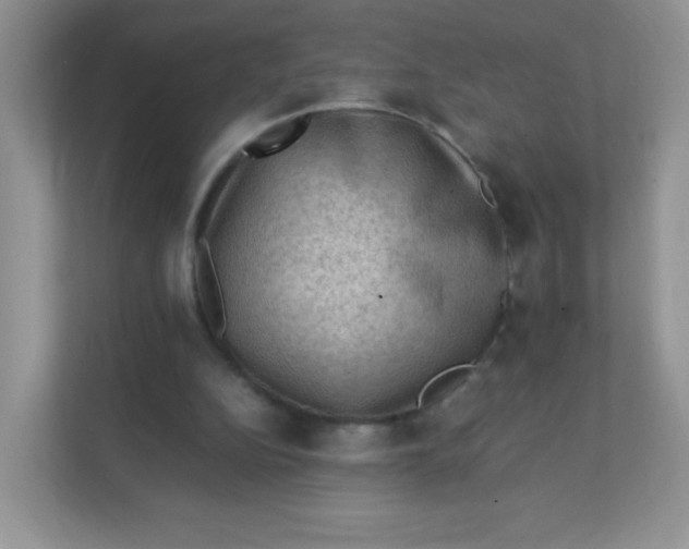 X0000111390152200907311121