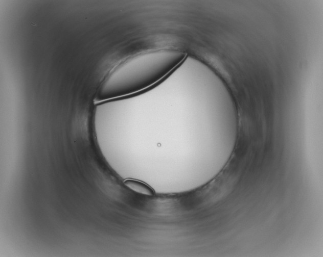 X0000111390154200907311121