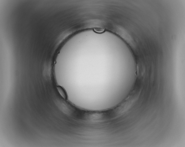 X0000111390156200907311121