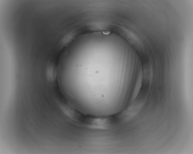 X0000111390168200907311121