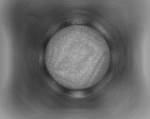 X0000111390169200907311121