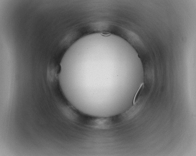 X0000111390172200907311121