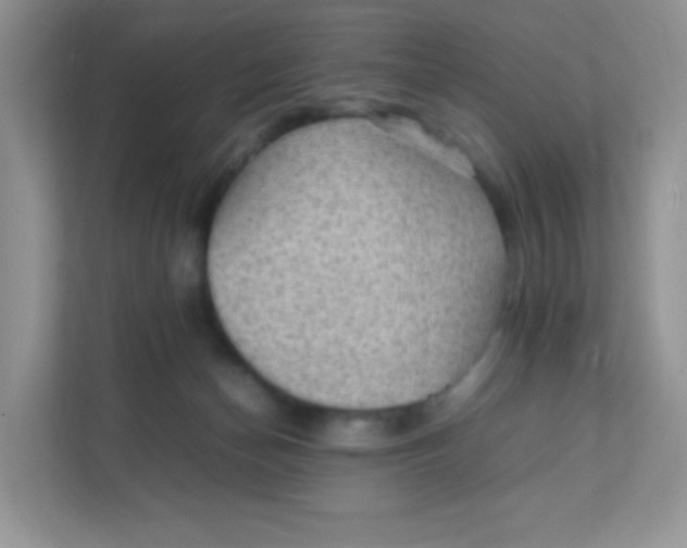 X0000111390174200907311121