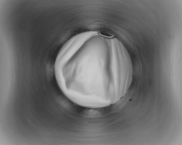 X0000111390180200907311121