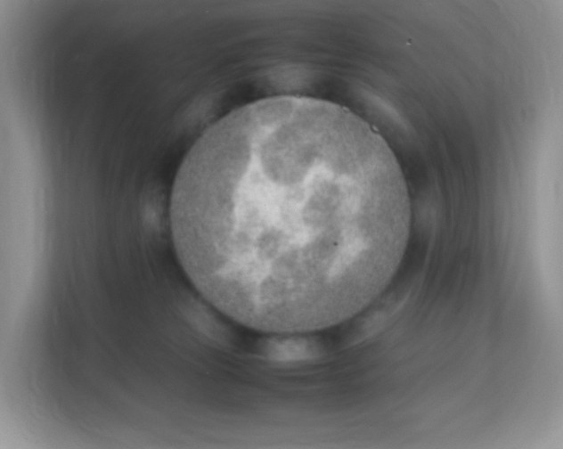 X0000111390181200907311121