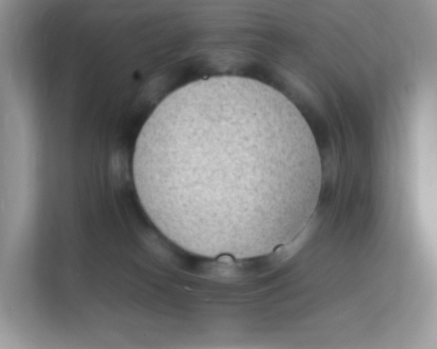 X0000111390182200907311121