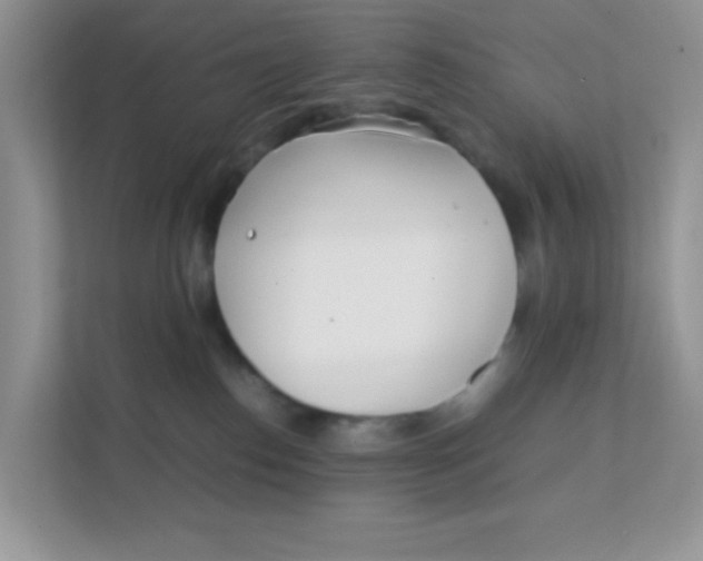 X0000111390186200907311121