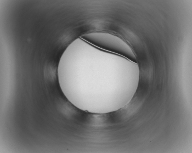 X0000111390188200907311121