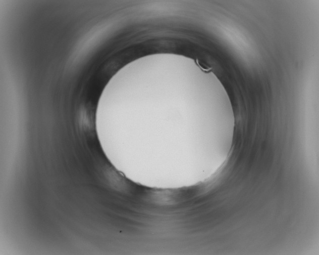 X0000111390190200907311121