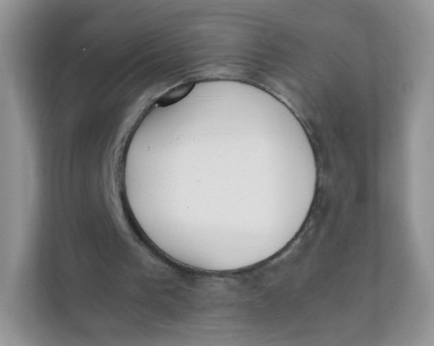 X0000111390193200907311121