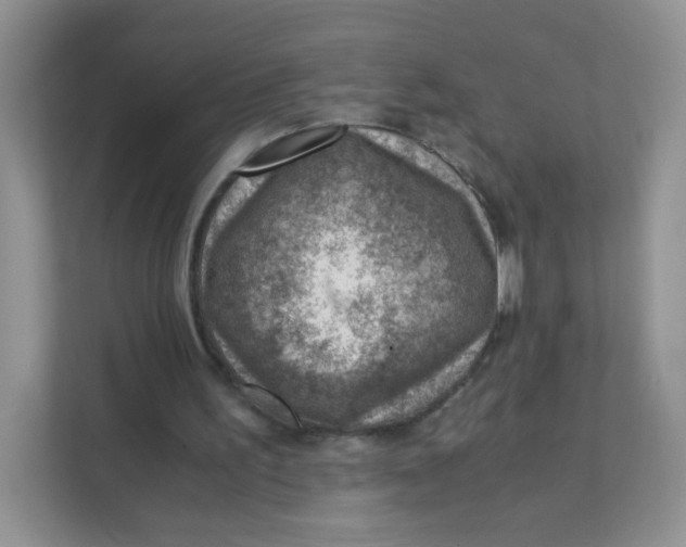 X0000111390195200907311120