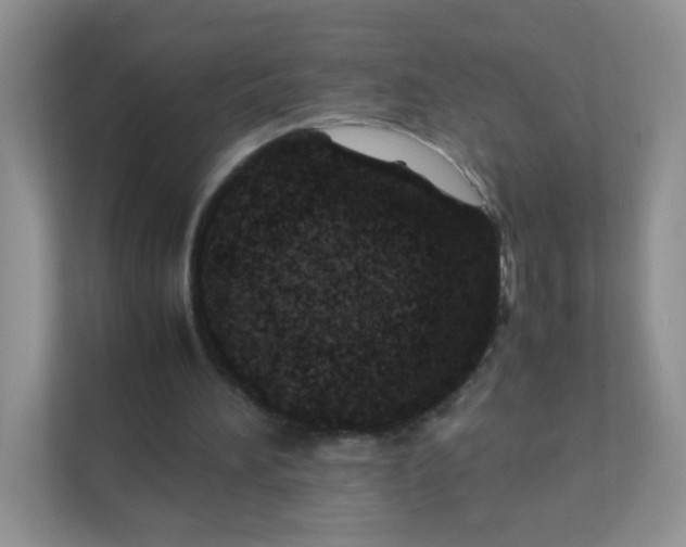 X0000111390196200907311120