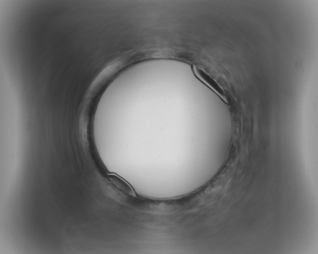 X0000111390197200907311120