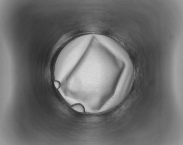 X0000111390198200907311120