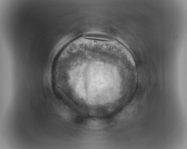 X0000111390199200907311120