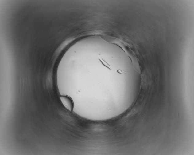 X0000111390200200907311120