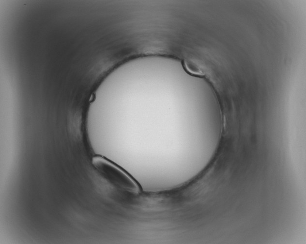 X0000111390201200907311120