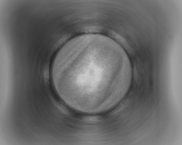 X0000111390202200907311120