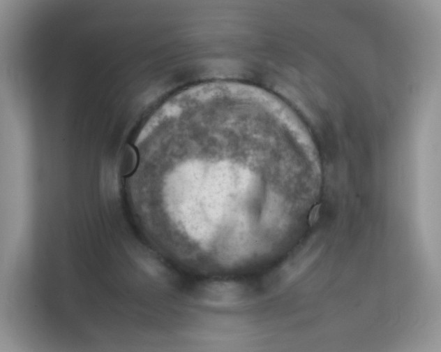 X0000111390203200907311120