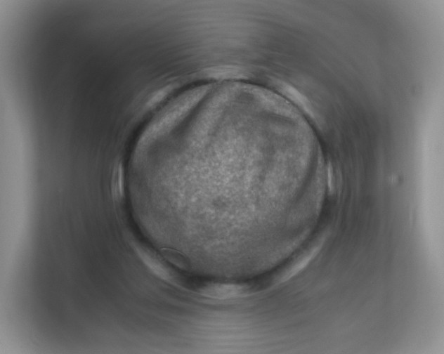 X0000111390205200907311120