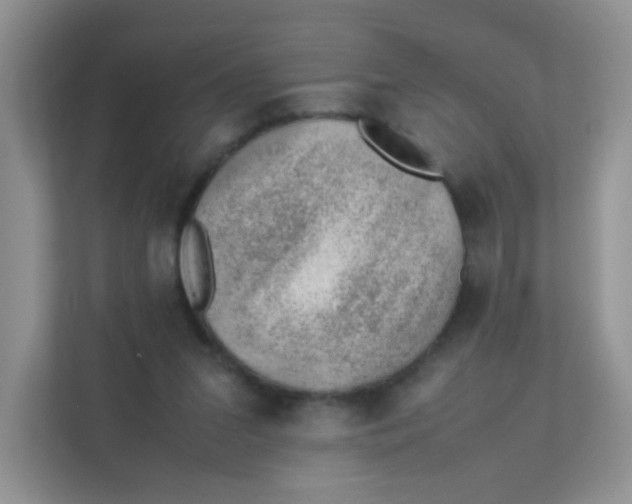 X0000111390207200907311120