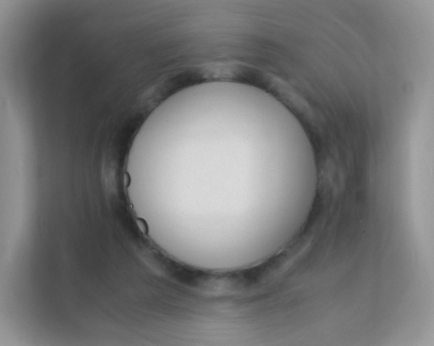 X0000111390209200907311120