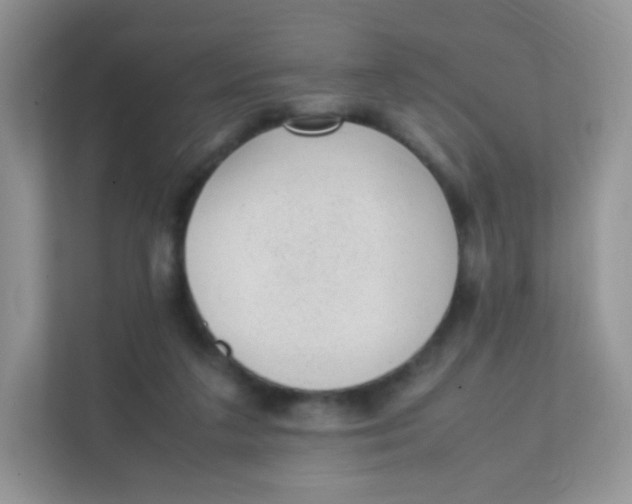 X0000111390211200907311120