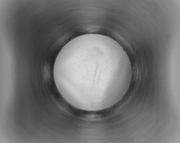 X0000111390212200907311120