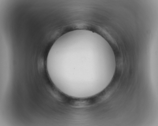 X0000111390213200907311120