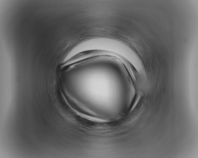 X0000111390215200907311120