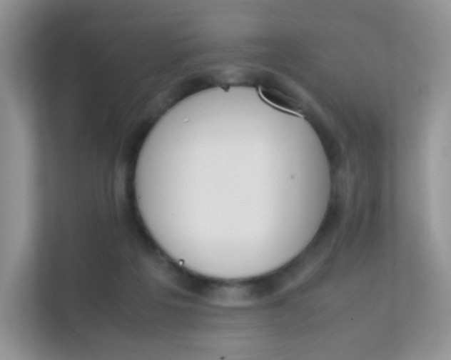 X0000111390217200907311120