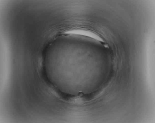 X0000111390219200907311120