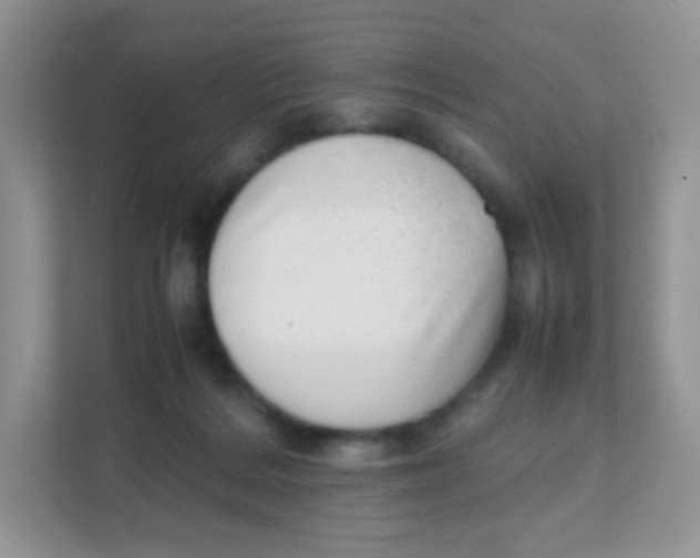 X0000111390220200907311120