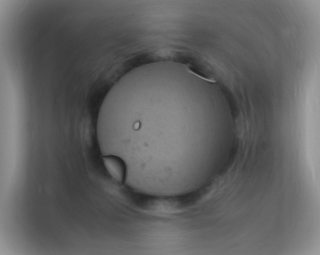 X0000111390223200907311120