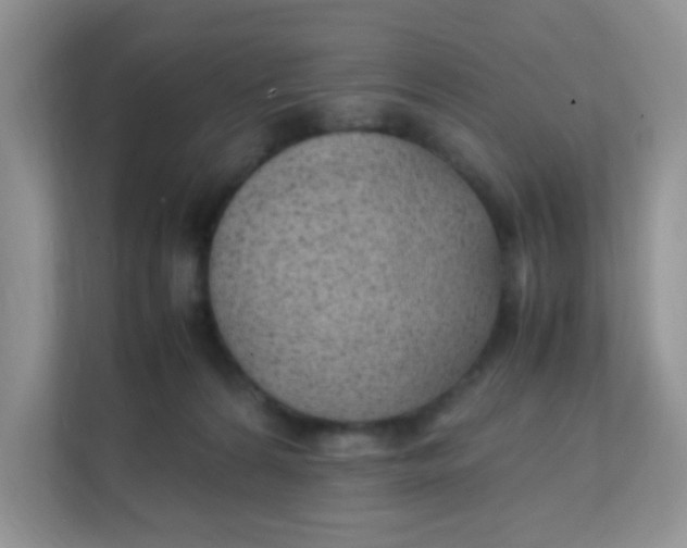 X0000111390224200907311120