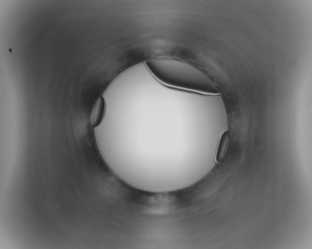 X0000111390225200907311120