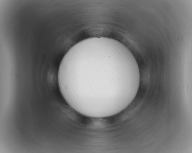 X0000111390226200907311120