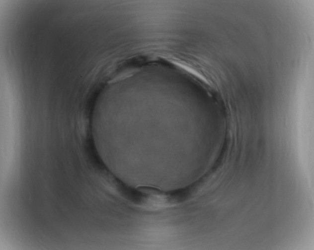 X0000111390227200907311120