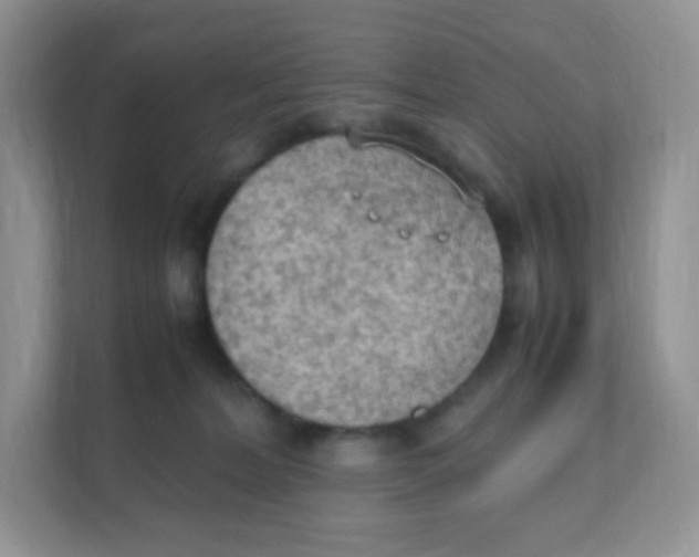 X0000111390228200907311120