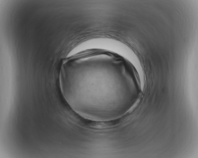 X0000111390229200907311120