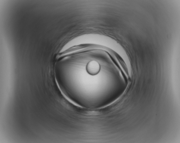 X0000111390233200907311120