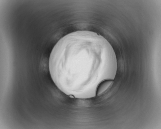 X0000111390234200907311120