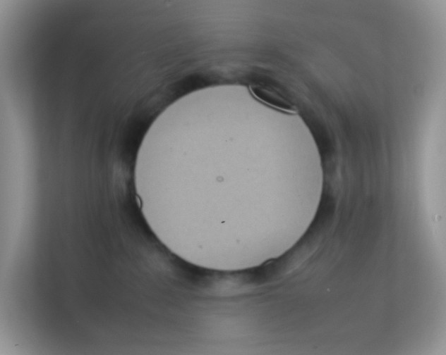 X0000111390235200907311120