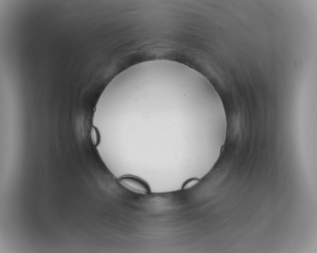 X0000111390236200907311120