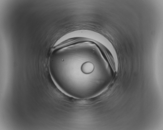 X0000111390237200907311120